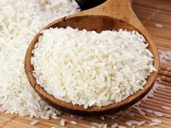 خرید و فروش برنج طلای سفید با شرایط فوق العاده